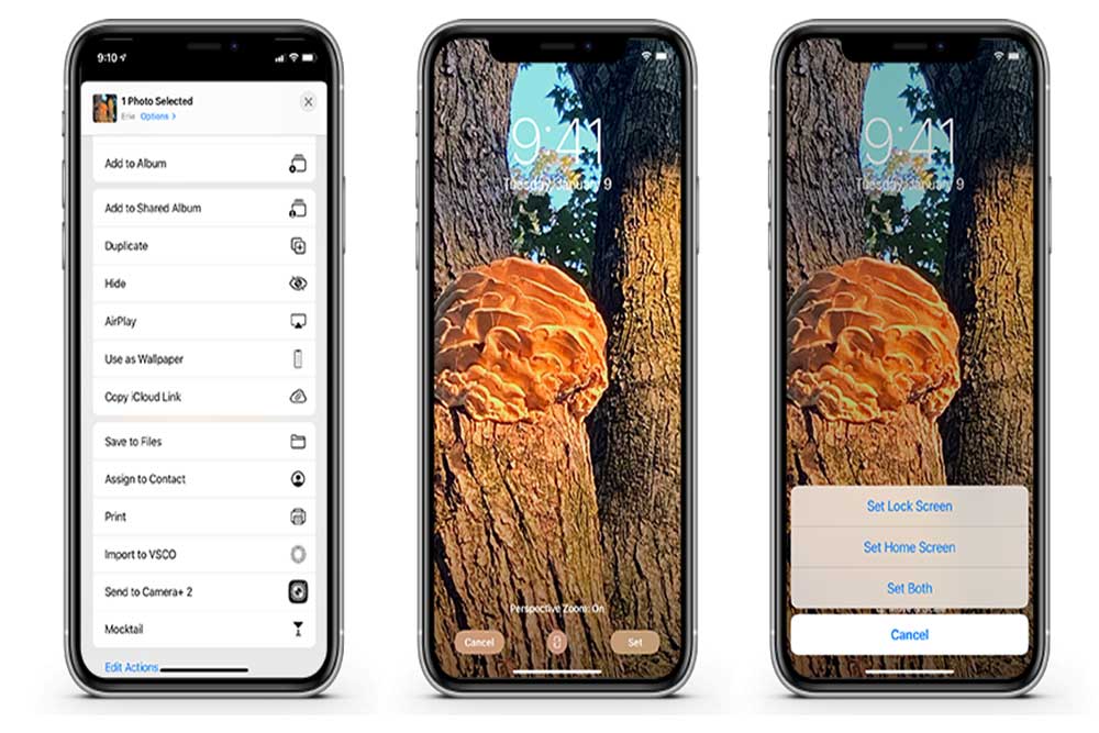 روش تنظیم والپیپر در iOS 14 ( شخصی سازی صفحه اصلی در iOS 14 )